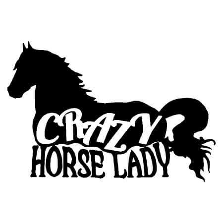 Rider Equine Love Vinyl Decal Sticker A CRAZY HORSE LADY #2 FACES 