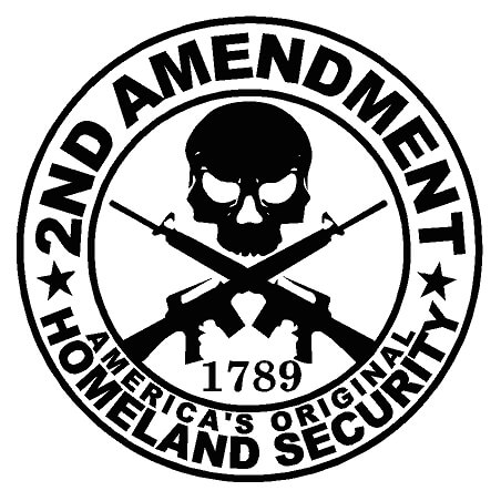 My Gun Permit 2nd Amendment Skull Bumper Sticker Car Window Wall 3M Vinyl Decal